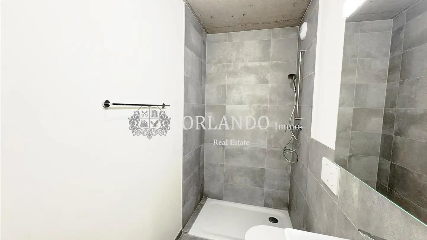 Wohnung mieten - Rue Des Pervenches, 1227 Carouge GE - Foto 3