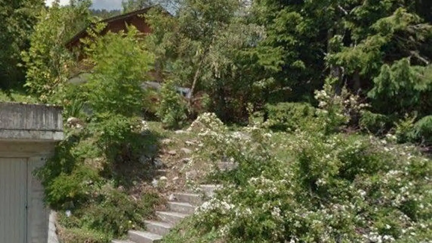 Single house for sale - Route Des Esserts, 1854 Leysin - Photo 4