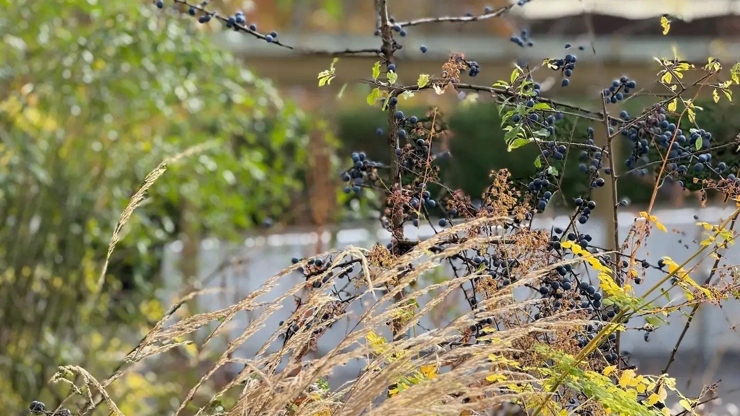 Appartamento in affitto - Winzrüti 29, 6319 Allenwinden - Photo 2