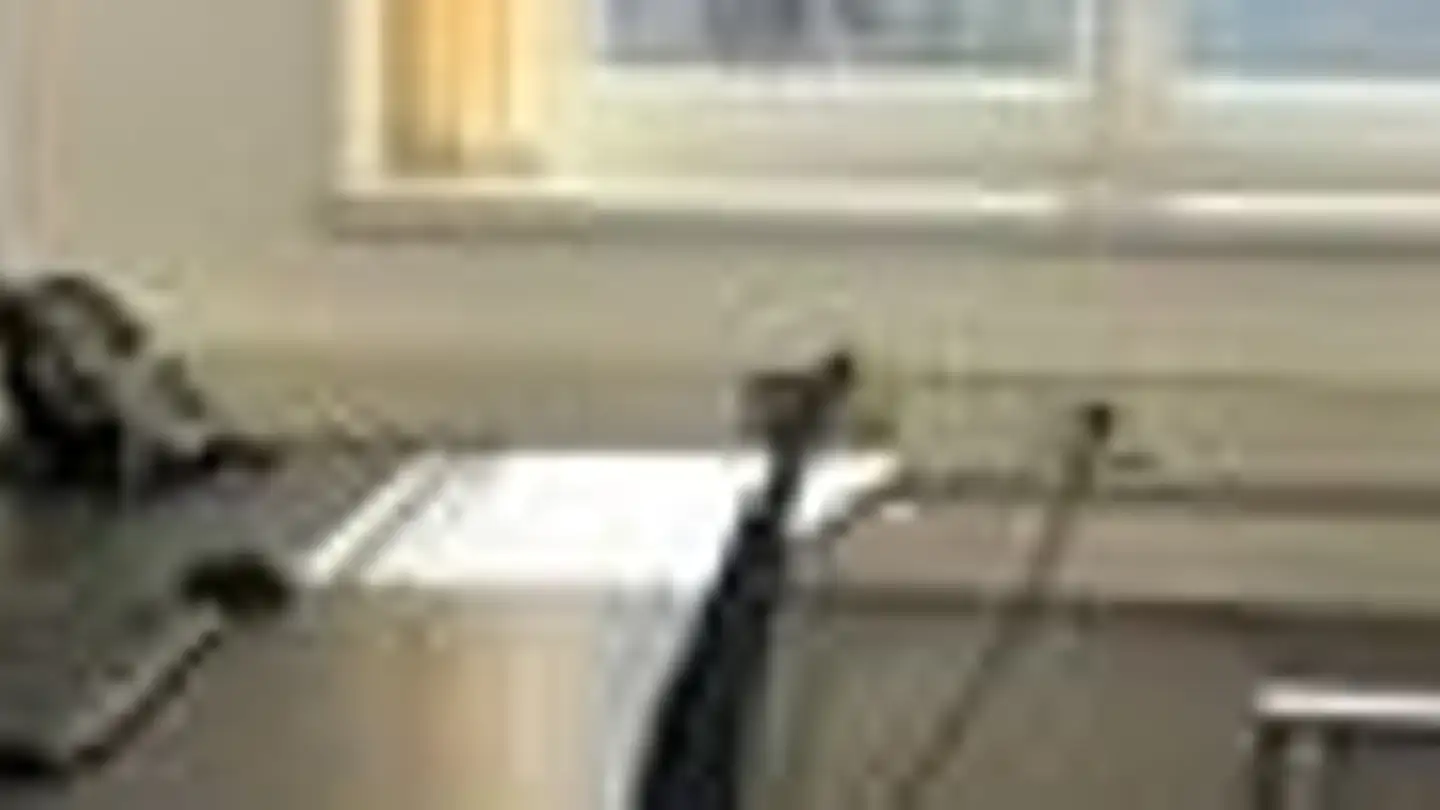 Bürofläche mieten - 9326 Horn