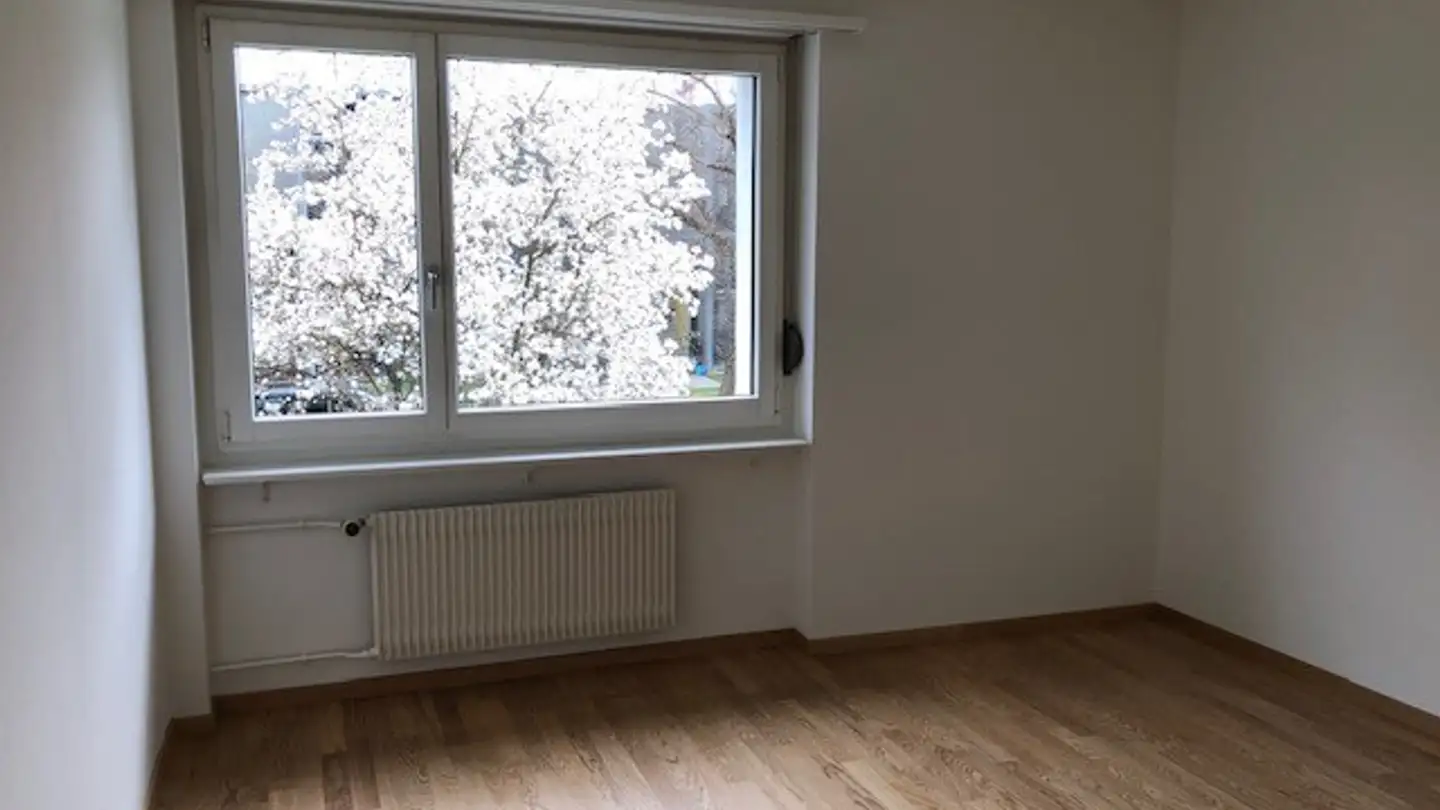 Appartamento in affitto - Riedgrabenweg 49, 8050 Zürich - Foto 3
