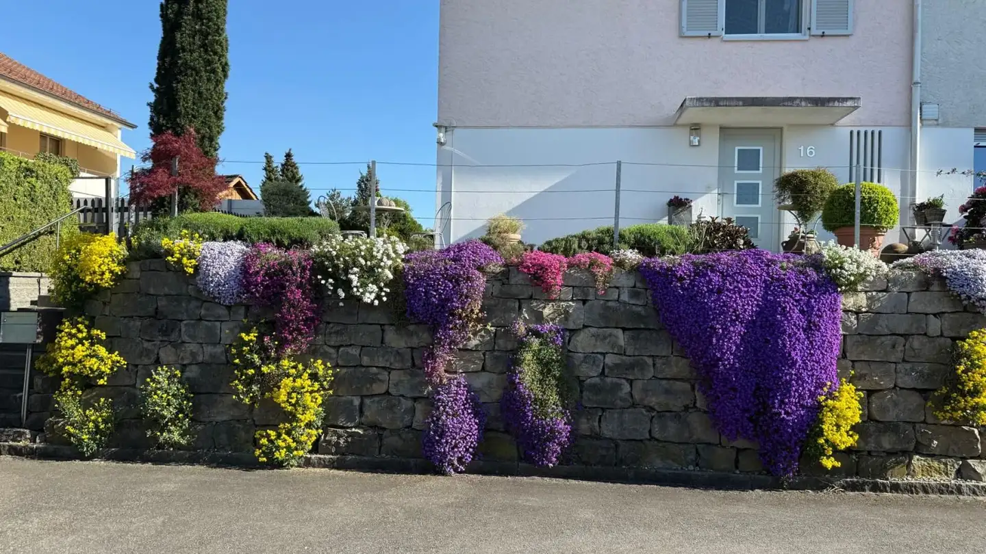 Single house for sale - Dörnlerweg, 8545 Rickenbach Sulz - Photo 4