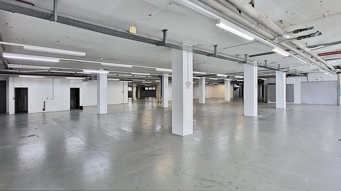 Commercial à louer - Gewerbestrasse 16, 8132 Egg b. Zürich - Photo 3