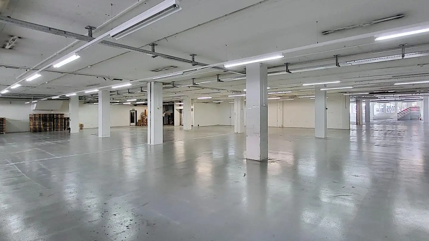 Commercial à louer - Gewerbestrasse 16, 8132 Egg b. Zürich - Photo 4
