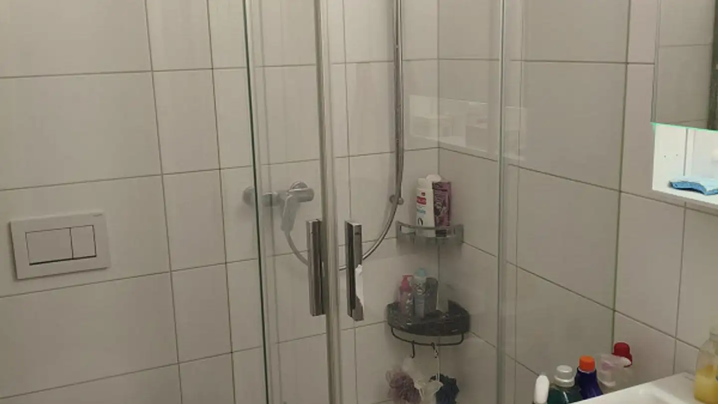Appartement à louer - In Den Klostermatten 13, 4052 Basel - Photo 3