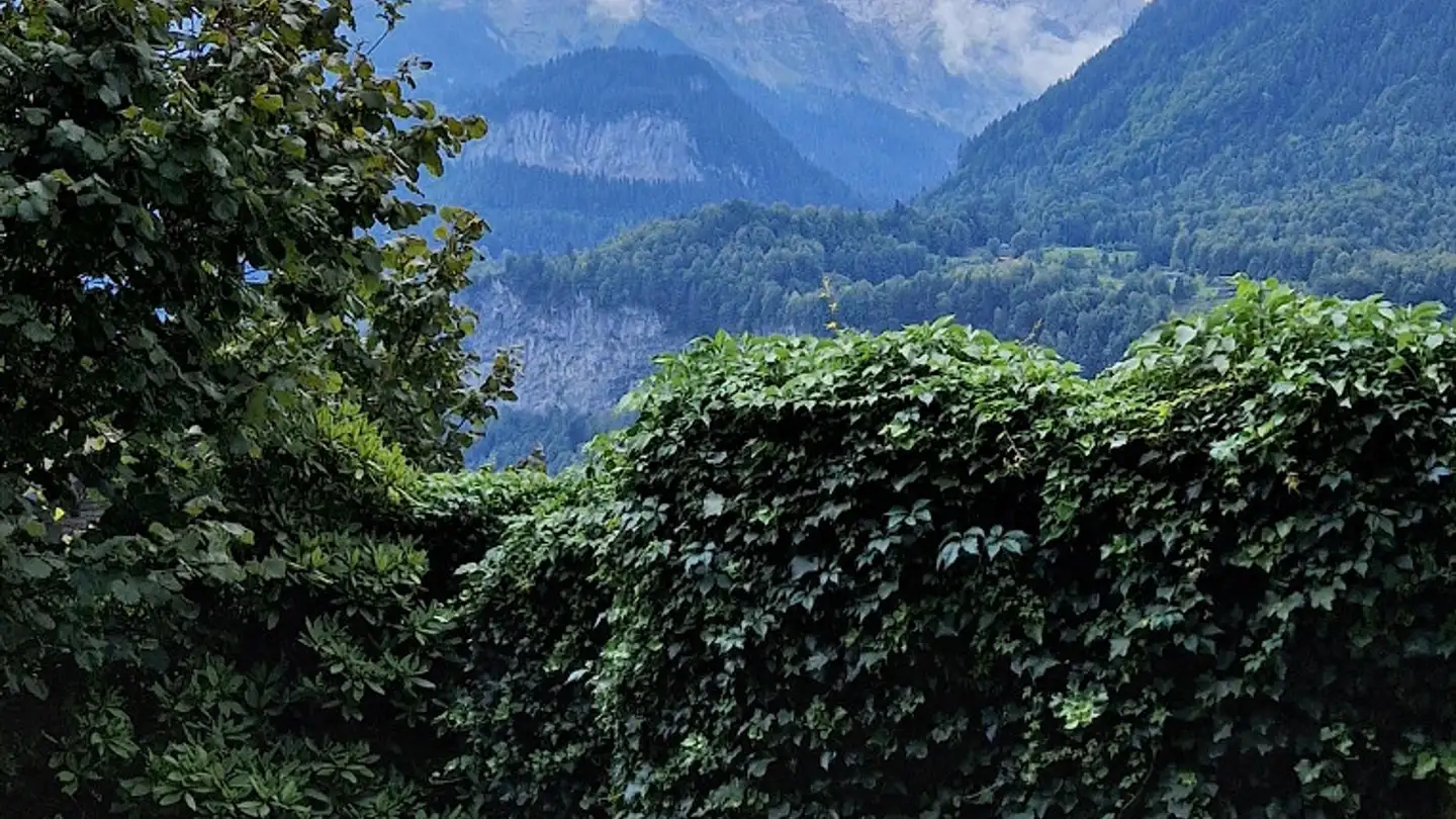 Appartement en terrasse à louer - Brünigstrasse 56, 3860 Meiringen - Photo 3