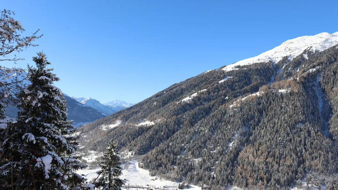 Appartement à vendre - 3997 Bellwald - Photo 2