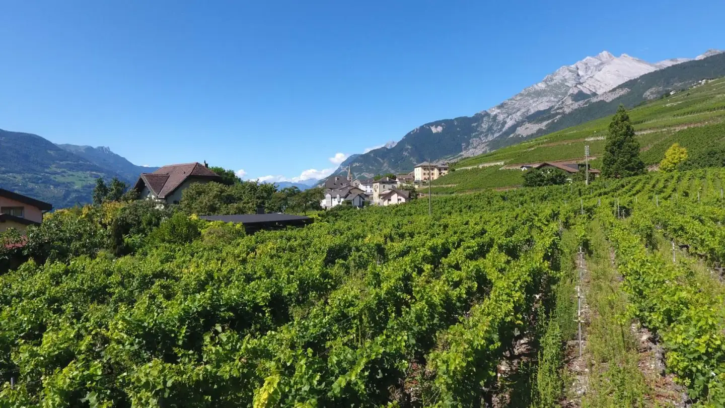 Constructible plot for sale - 1975 St-Séverin - Photo 3