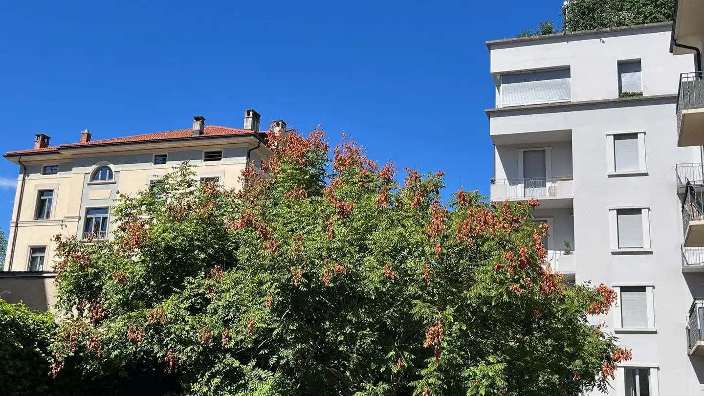 Apartment for rent - Via Giuseppe Buffi 8, 6900 Lugano