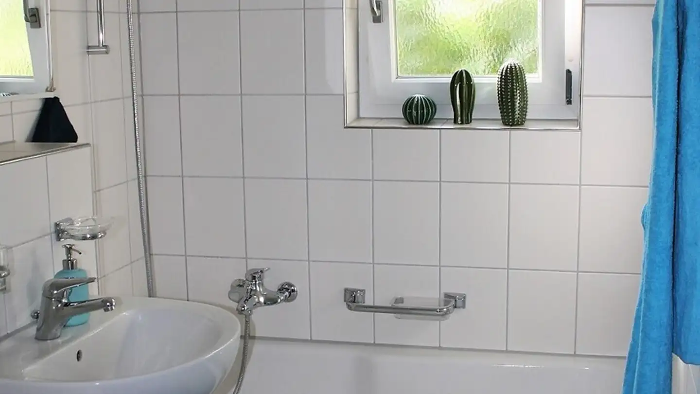Appartamento in affitto - Langgrütstrasse 103, 8047 Zürich - Foto 4