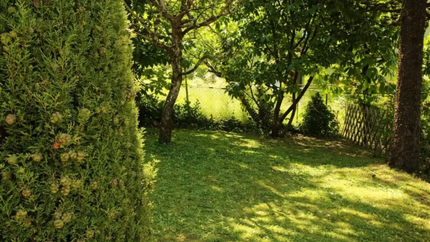 Wohnung kaufen - Rue Bonivard 4, 1820 Veytaux - Foto 3