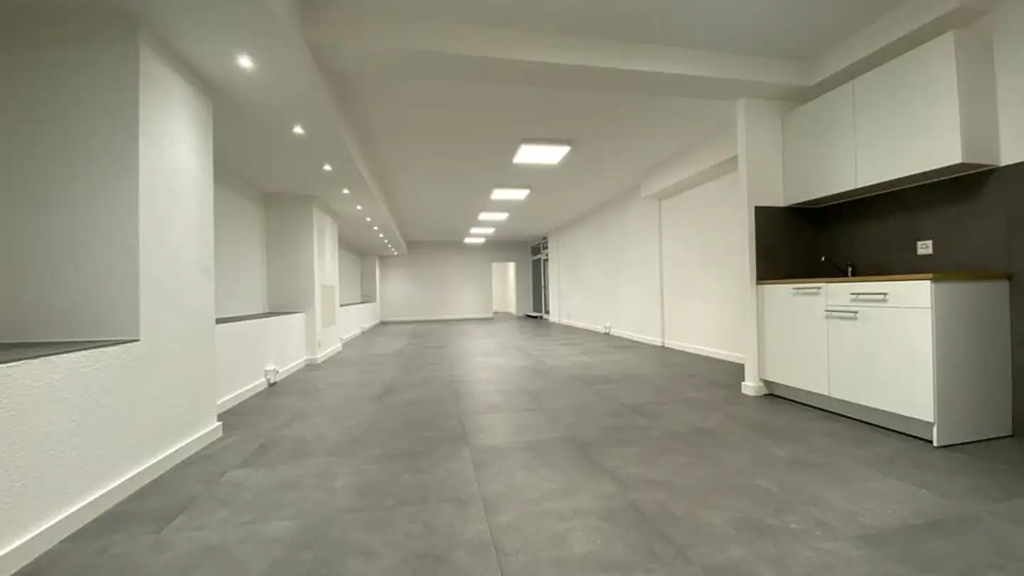 Commercial à louer - Route De Saint-Julien 120, 1228 Plan-les-Ouates