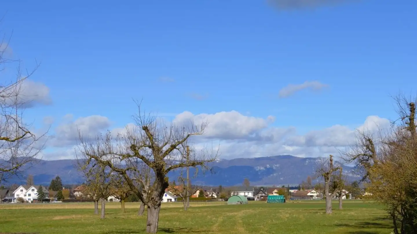 Apartment for sale - Koppigenstrasse 42, 3427 Utzenstorf - Photo 3