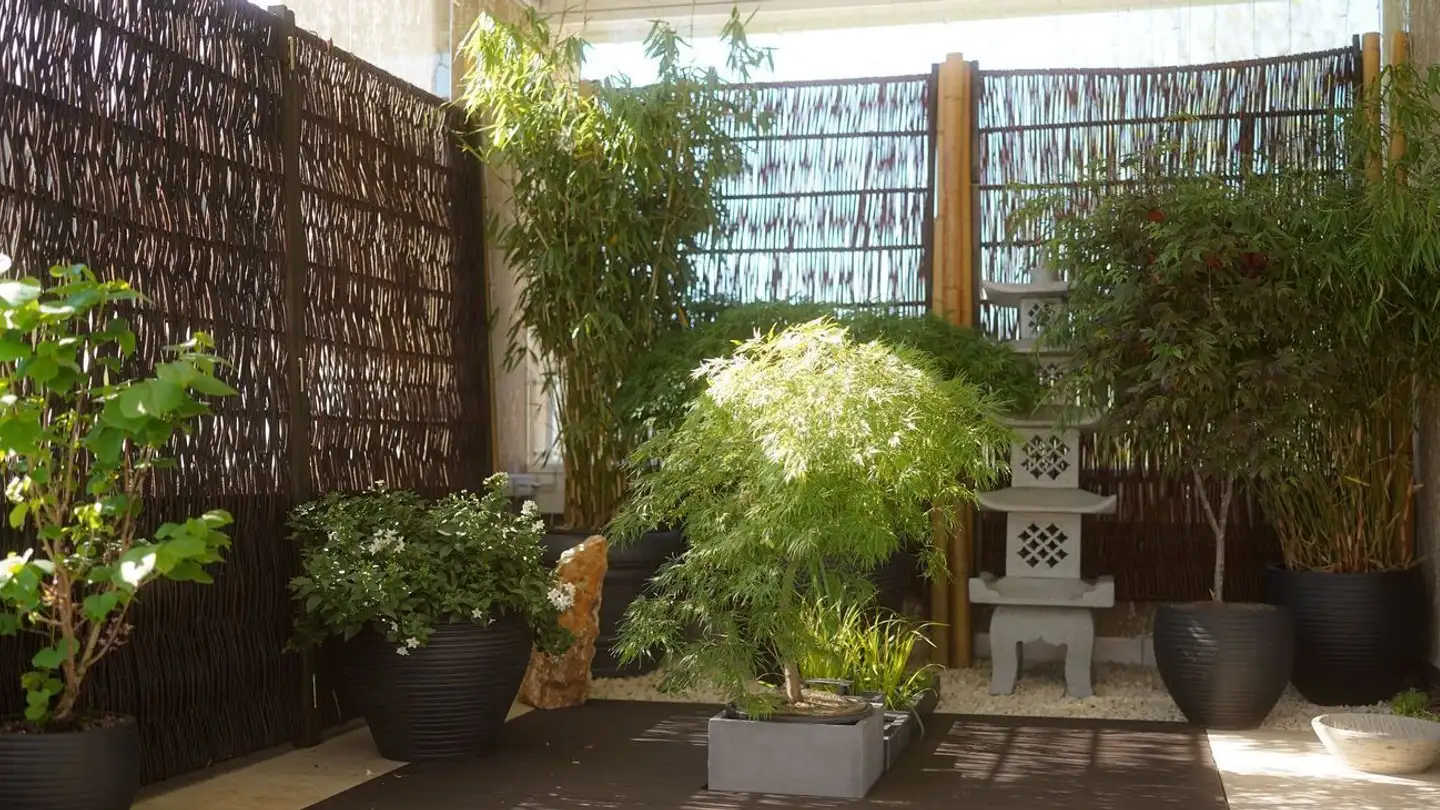 Appartamento in vendita - Austrasse 2, 8840 Trachslau - Foto 3