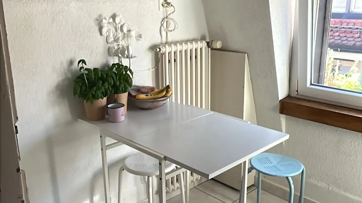 Furnished apartment for rent - Hotzestrasse 48, 8006 Zürich - Photo 3