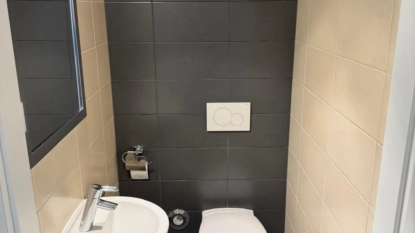 Appartement à louer - Rue Alexandre- Gavard 28, 1227 Carouge GE - Photo 4