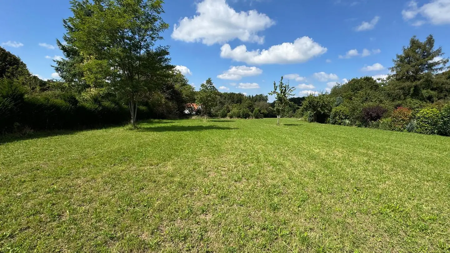 Constructible plot for sale - 4146 Hochwald - Photo 2