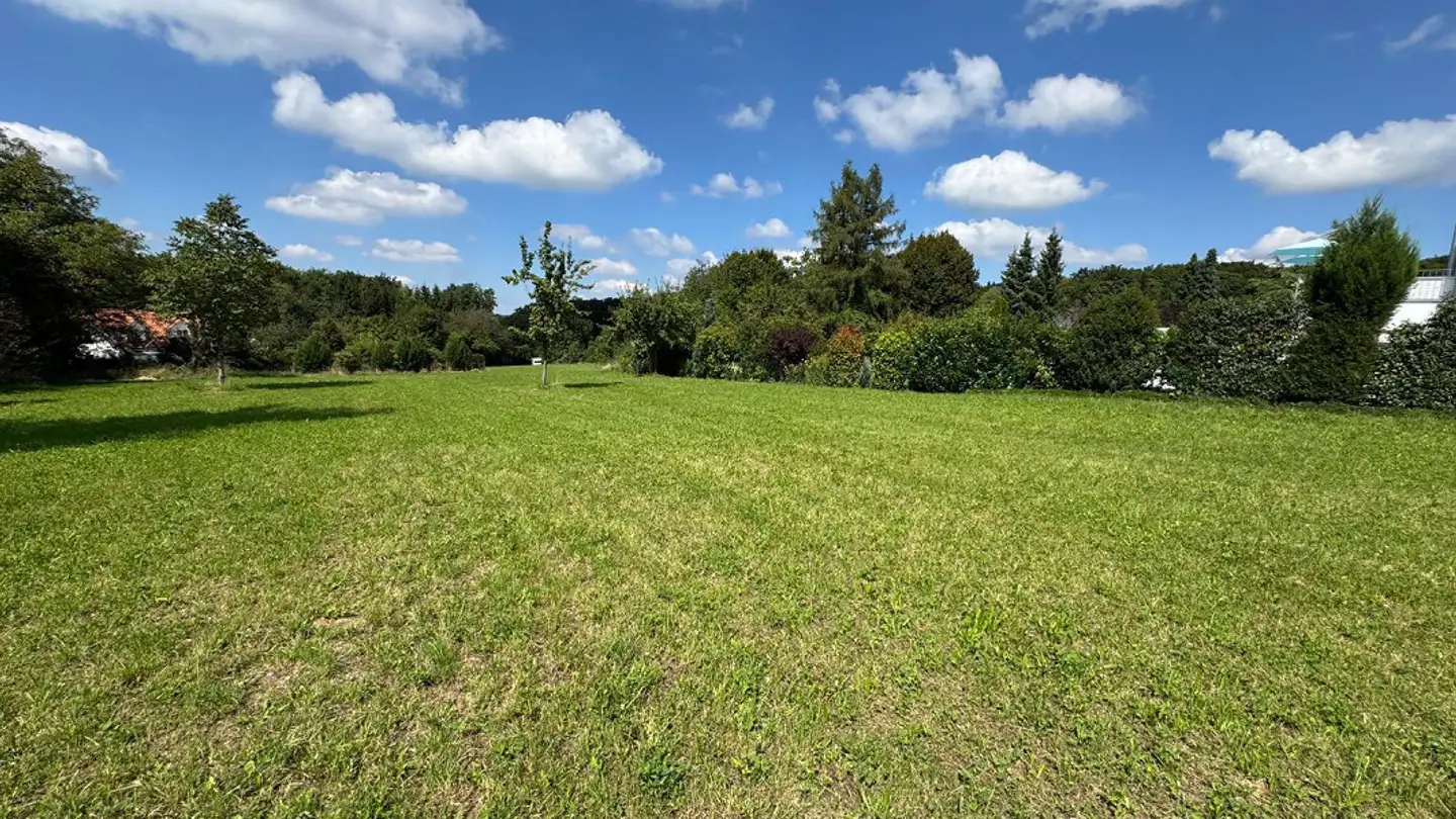 Constructible plot for sale - 4146 Hochwald - Photo 3