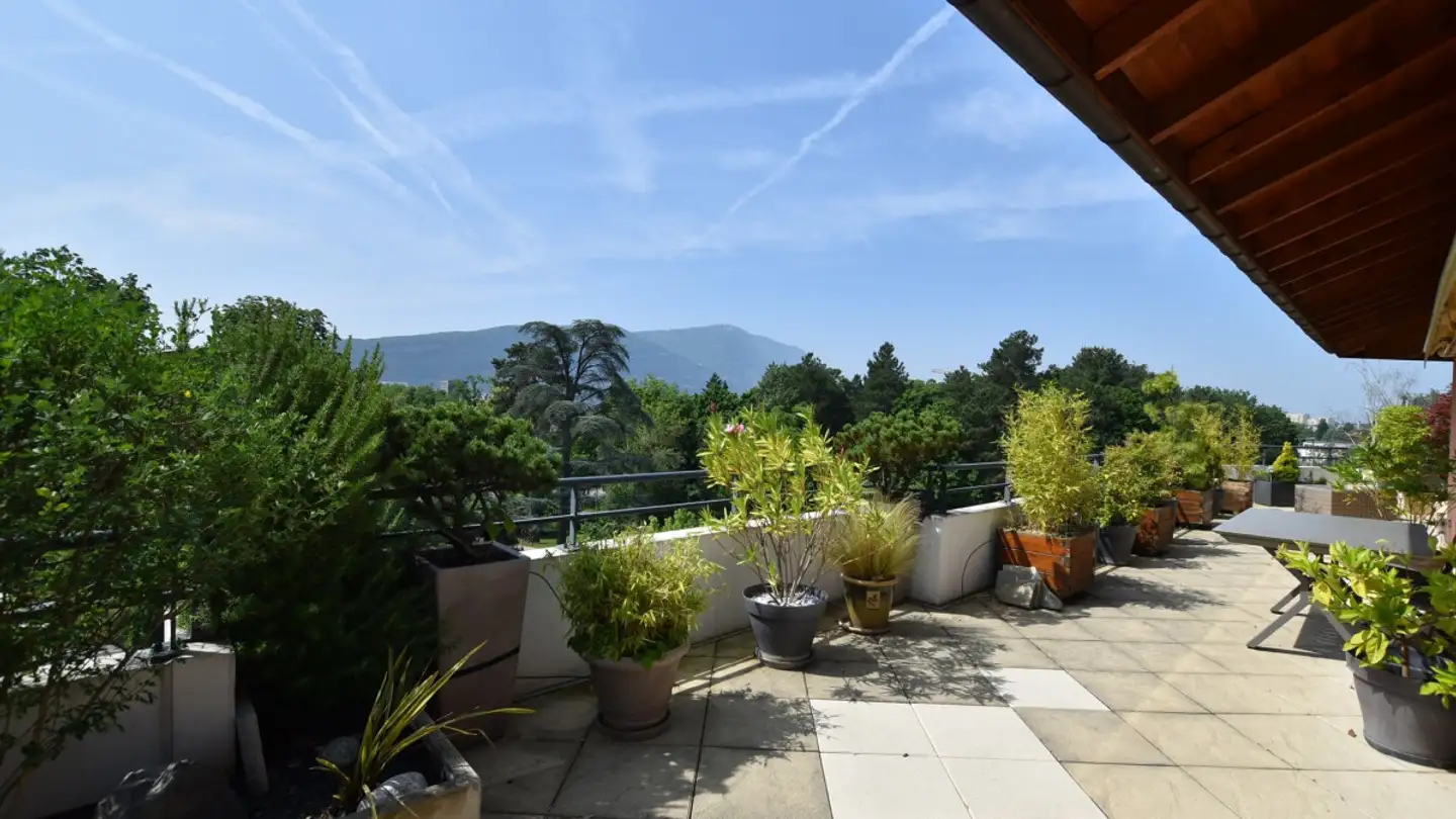 Appartement à vendre - 1241 Puplinge - Photo 2