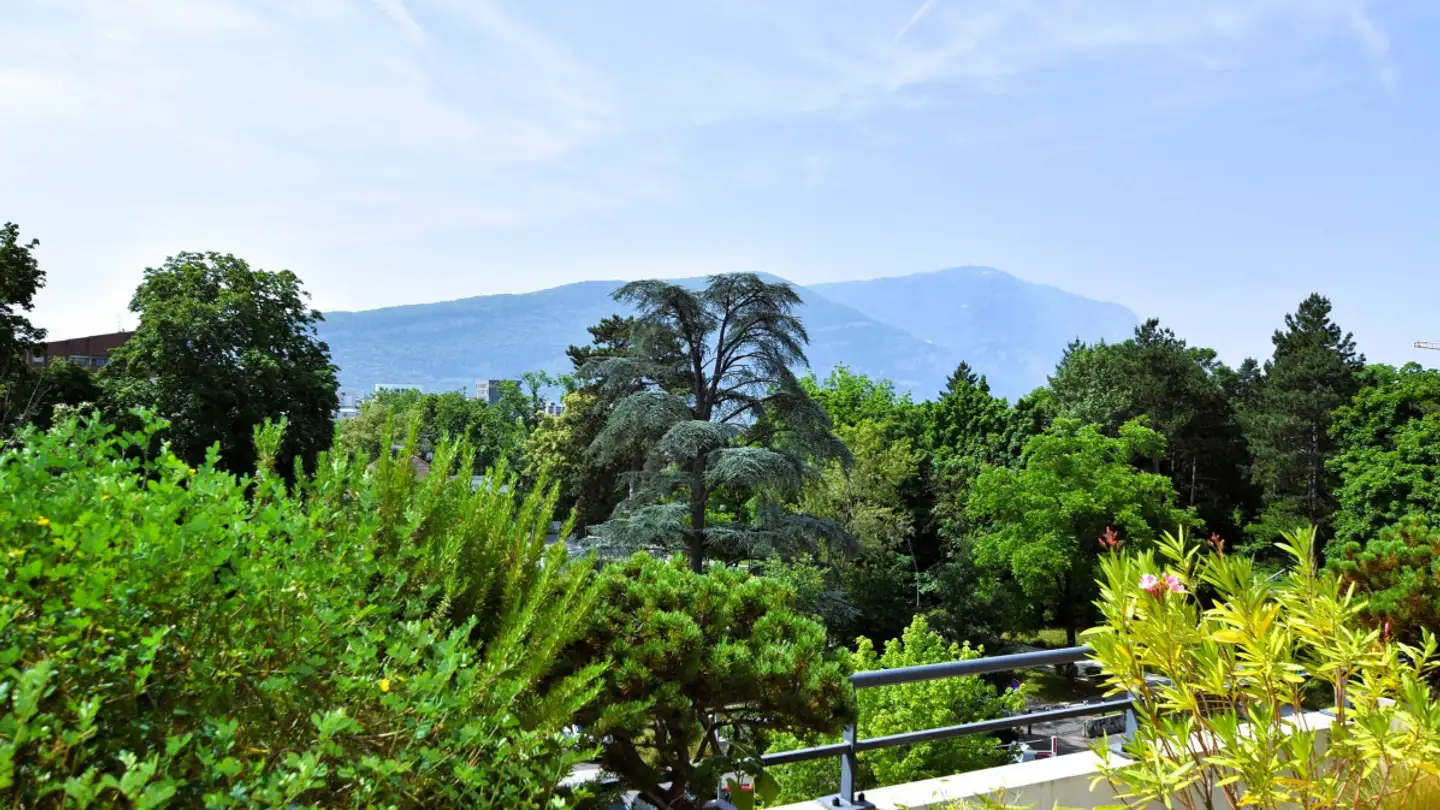 Appartement à vendre - 1241 Puplinge - Photo 3