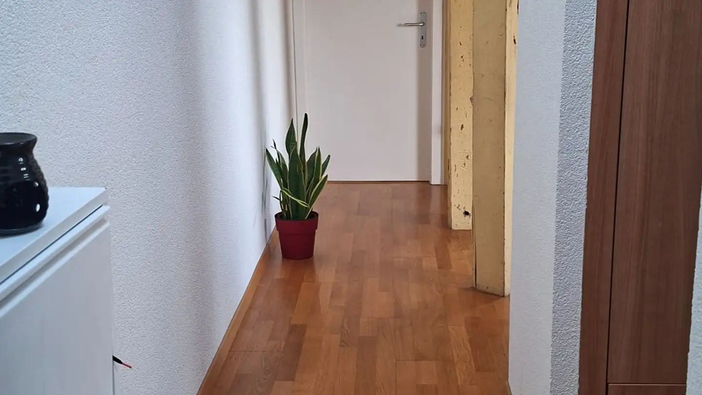 Appartamento in affitto - Avenue De Sully 90, 1814 La Tour-de-Peilz - Foto 2