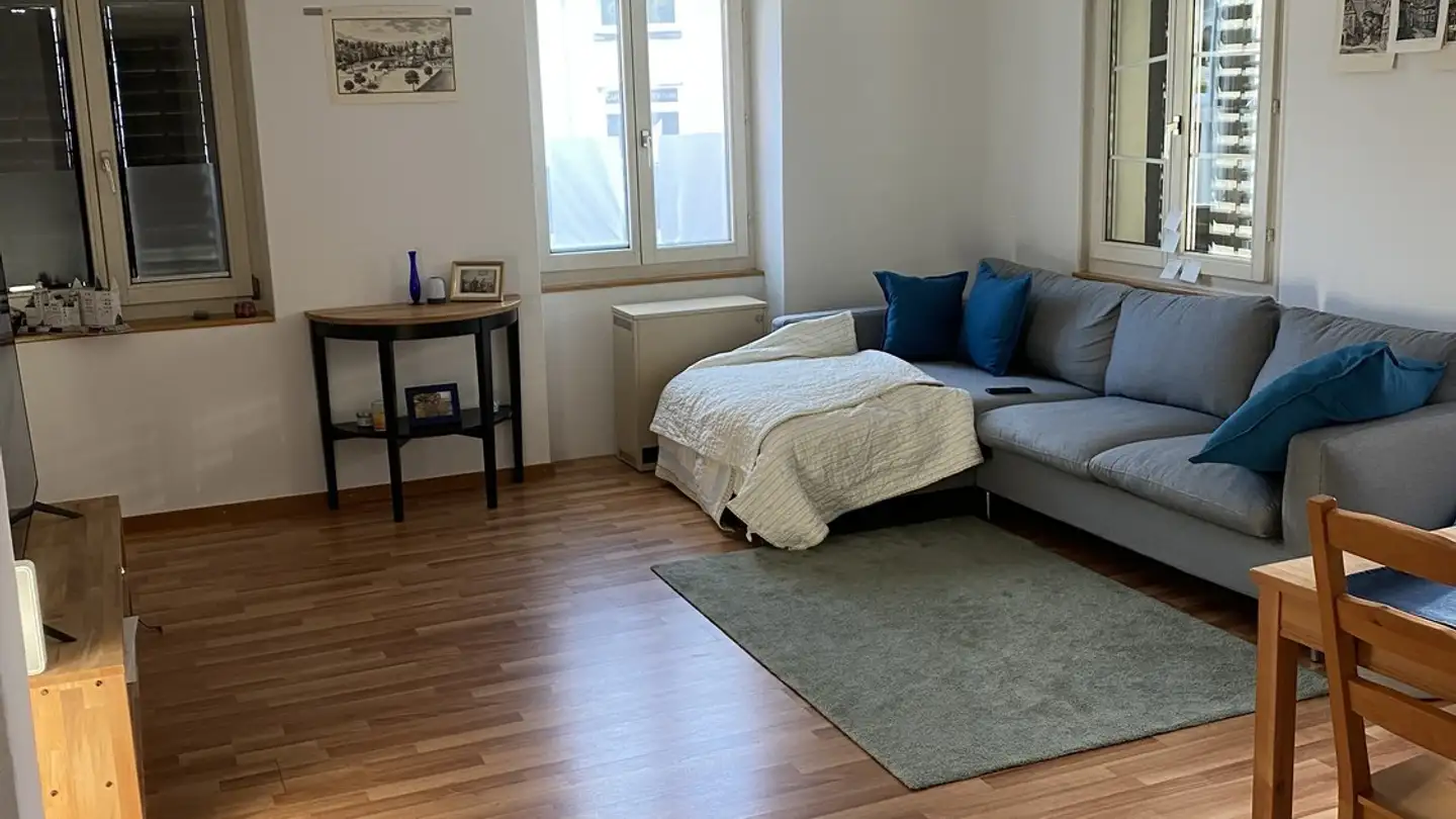 Appartamento in affitto - Florhofstrasse 16, 8820 Wädenswil