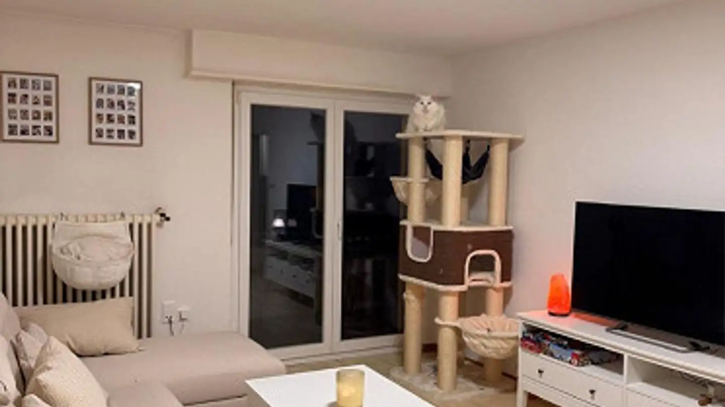 Appartamento in affitto - Buchthalerstrasse 108, 8203 Schaffhausen