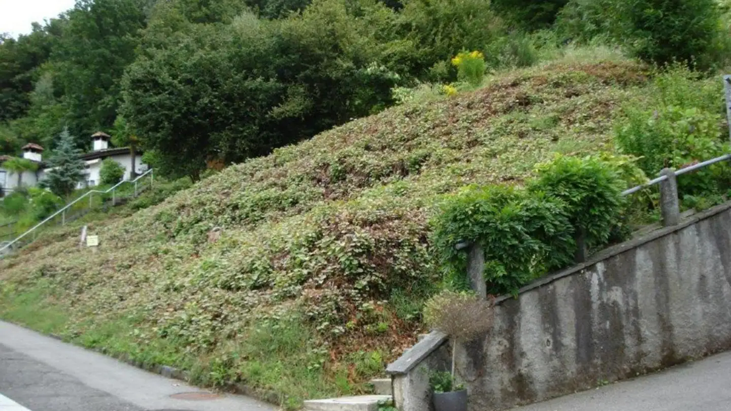 Constructible plot for sale - 6576 Gerra (Gambarogno) - Photo 2