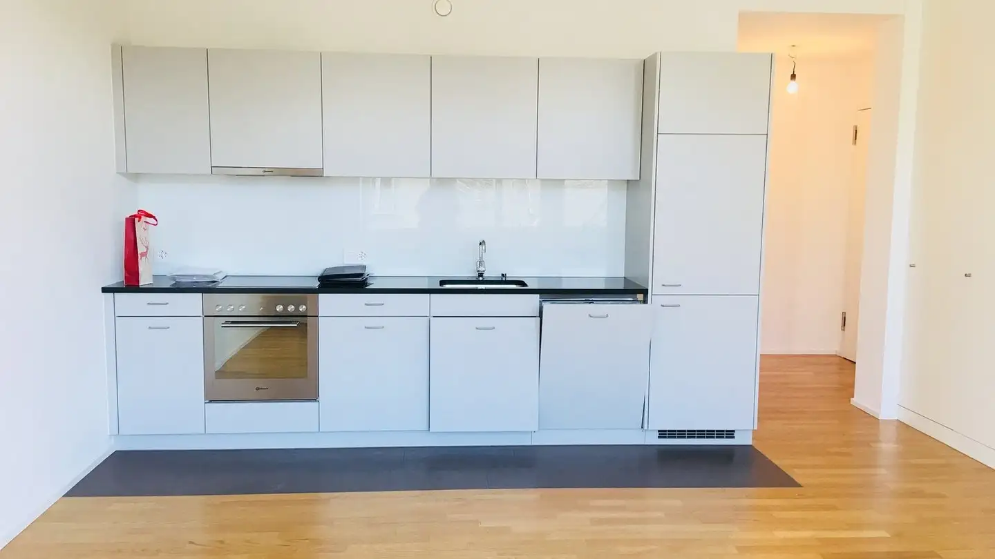 Appartamento in affitto - Schaffhauserstrasse 6, 8400 Winterthur - Foto 3