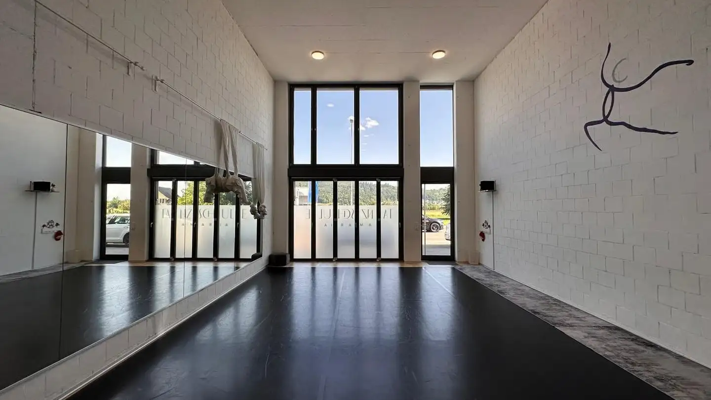 Commercial for rent - Nellenacker 12, 4614 Hägendorf