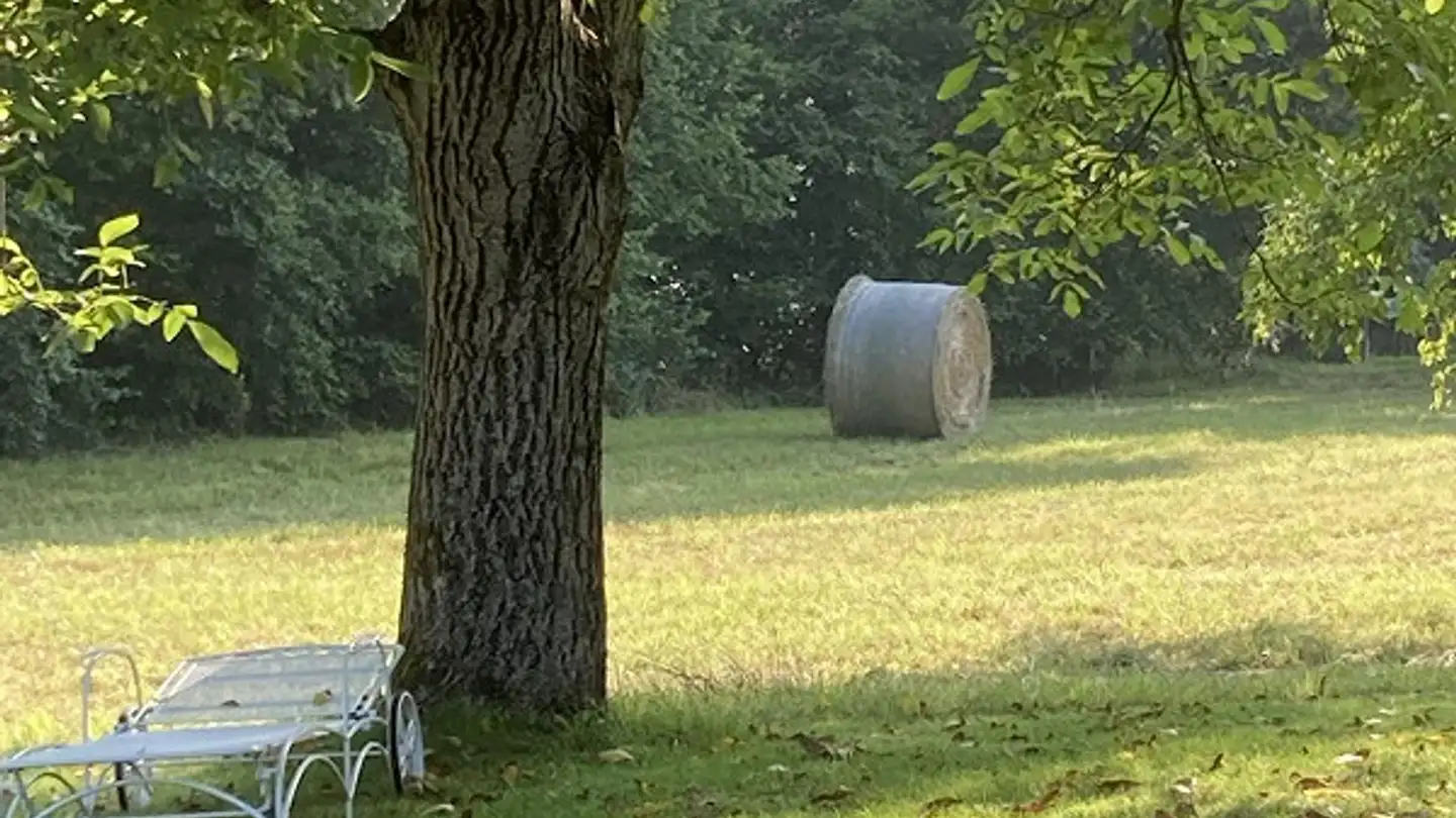 Apartment for rent - 4105 Biel-Benken BL - Photo 4