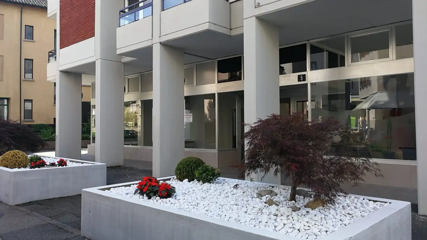 Appartement à louer - Via Rinaldo Simen 5, 6900 Lugano