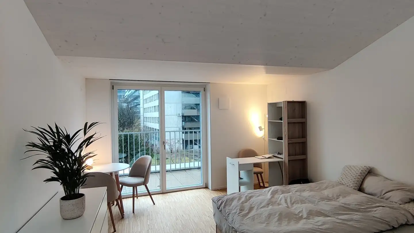 Appartamento in affitto - Birmensdorferstrasse 485, 8055 Zürich