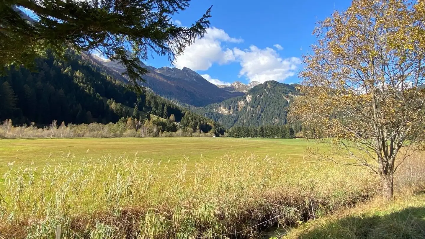 Hotel in vendita - Pian San Giacomo, 6563 Mesocco - Photo 2