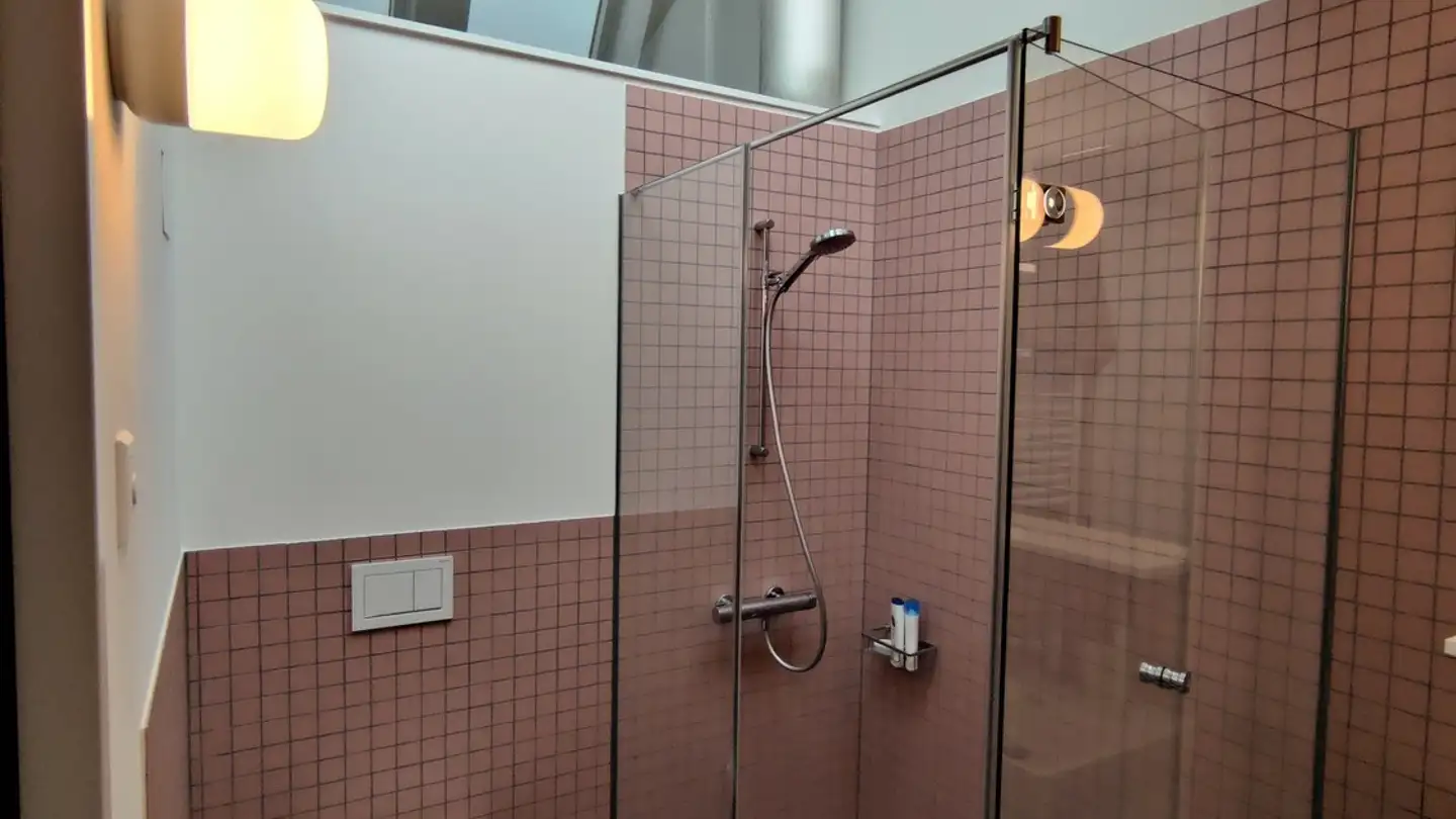 Appartamento in affitto - Birmensdorferstrasse 485, 8055 Zürich - Foto 2