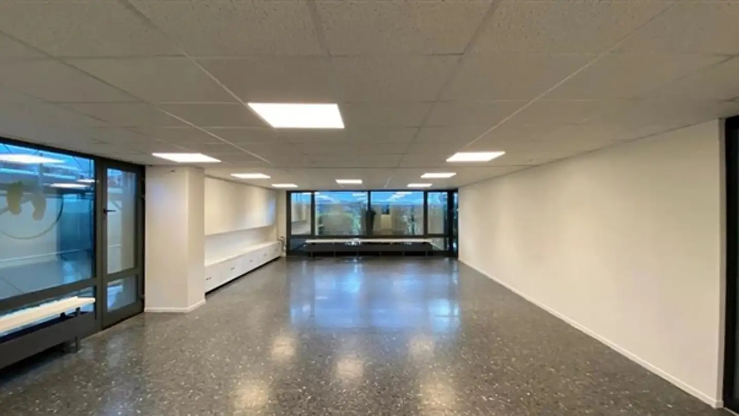 Commercial for rent - Chemin Du Champ-D'anier 5, 1209 Genève