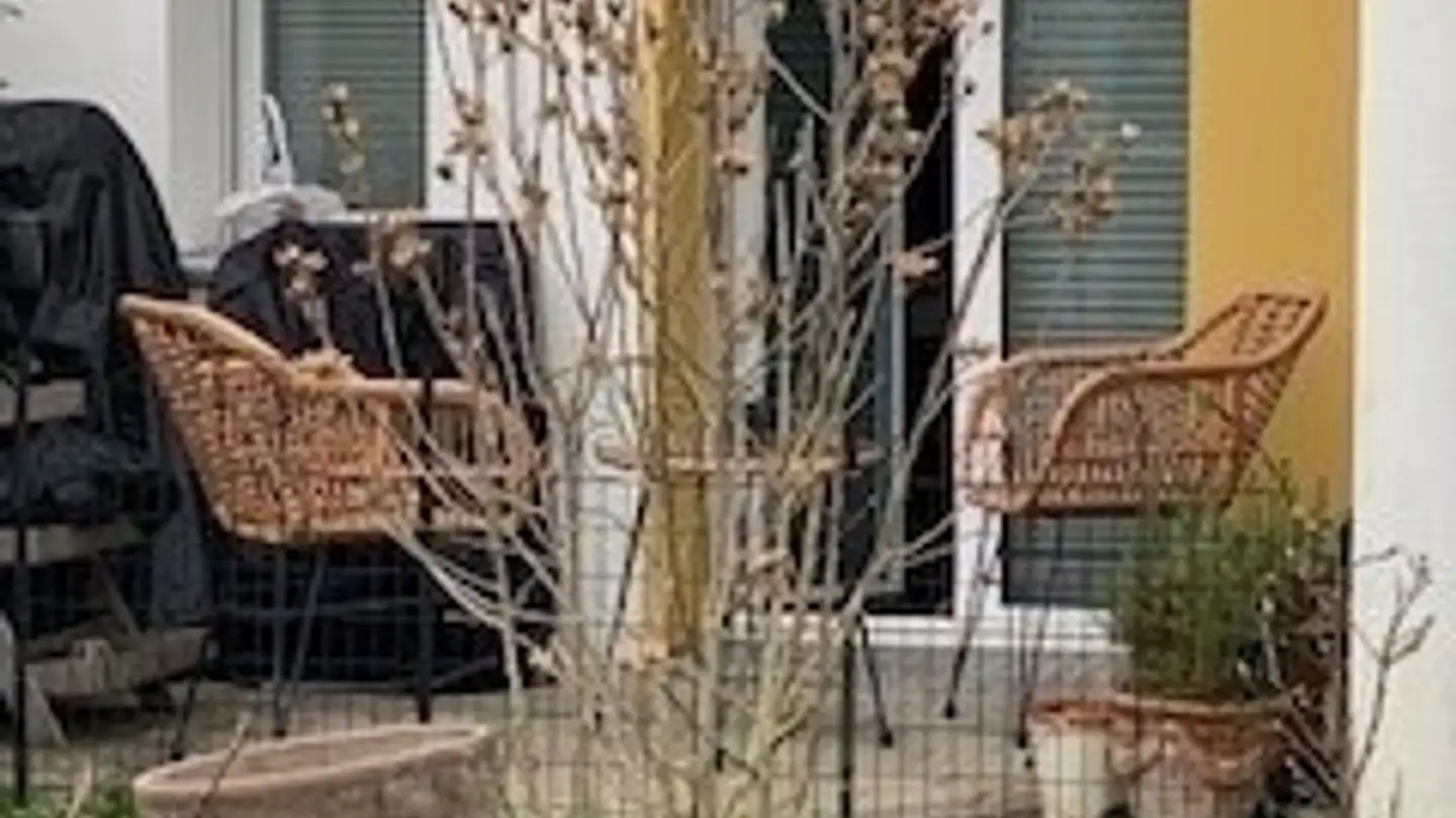 Wohnung mieten - Zilacherstrasse 14, 8427 Rorbas - Foto 2