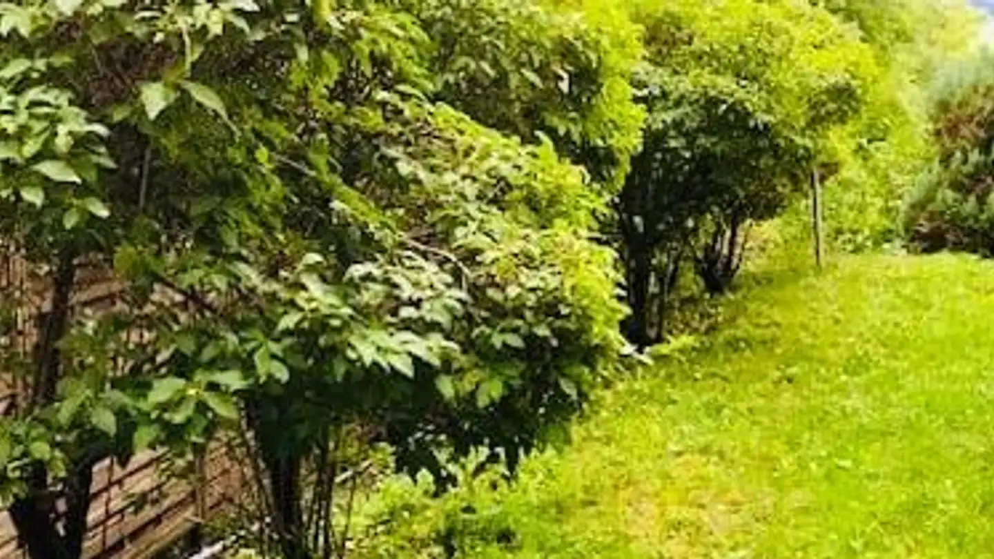 Single house for sale - Rue Du Castel 3, 1450 Le Château-de-Ste-Croix - Photo 2