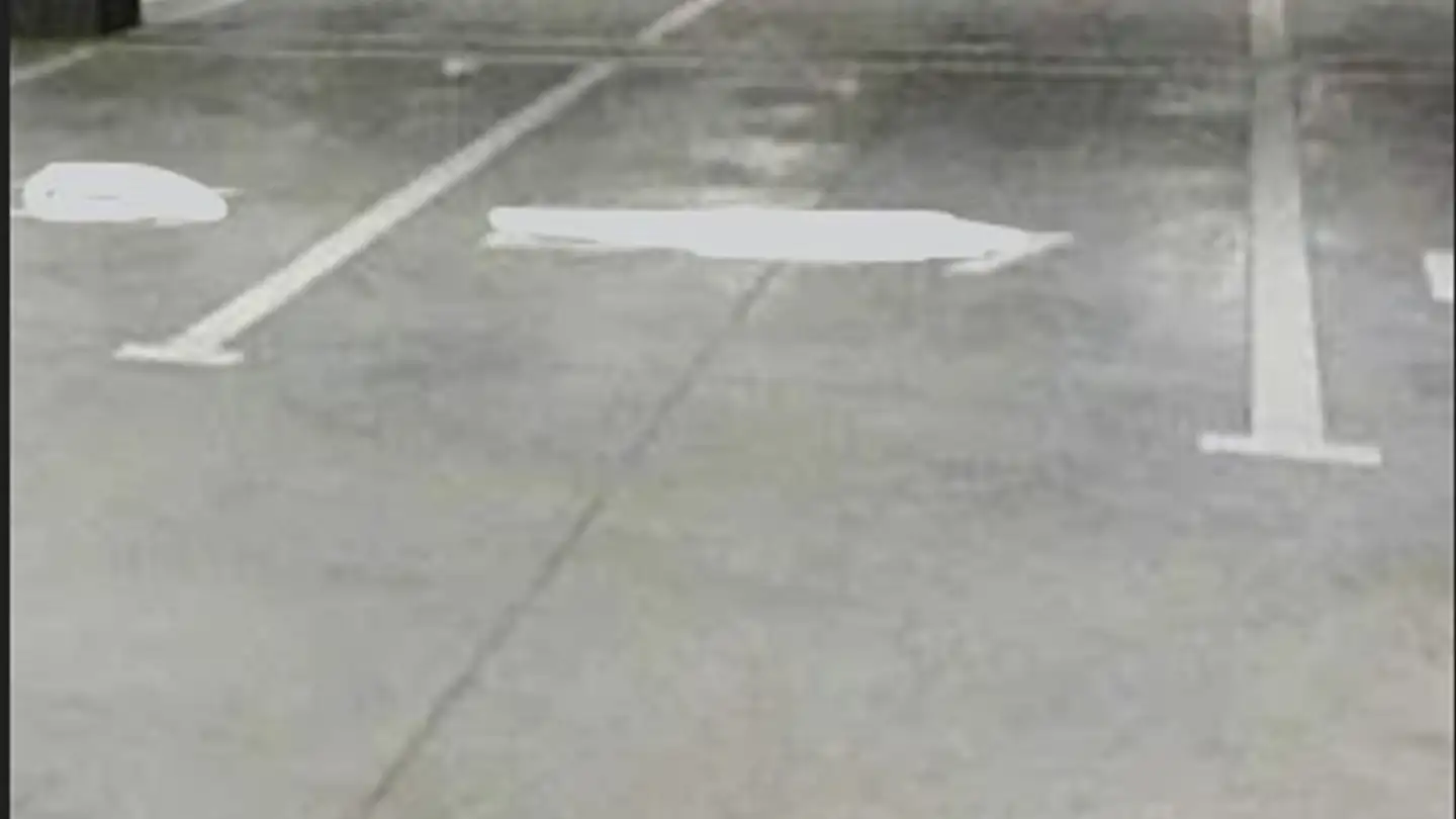 Einzelgarage mieten - Farman-Strasse, 8152 Glattpark (Opfikon)