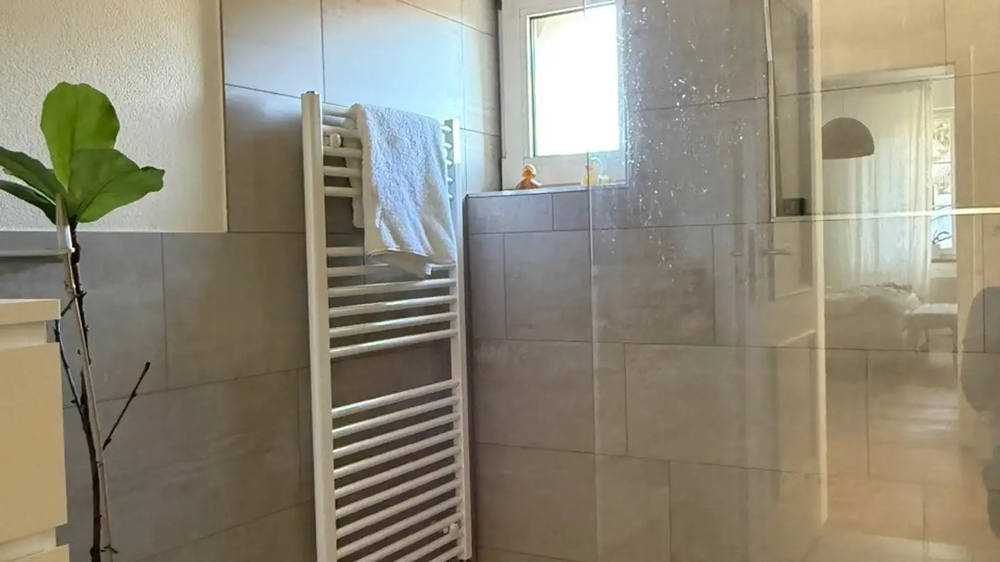 Appartamento in affitto - 8134 Adliswil - Foto 2