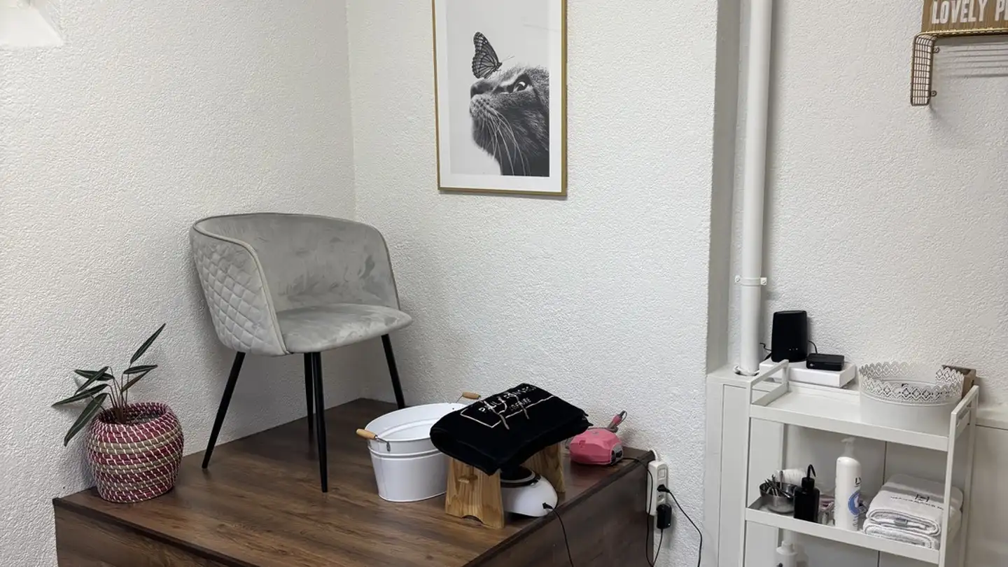 Commerciale in affitto - Engstringerstrasse 40, 8952 Schlieren - Foto 3