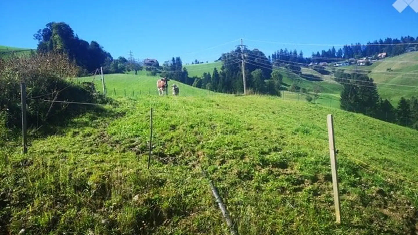 Casa singola in vendita - 3438 Lauperswil - Foto 2