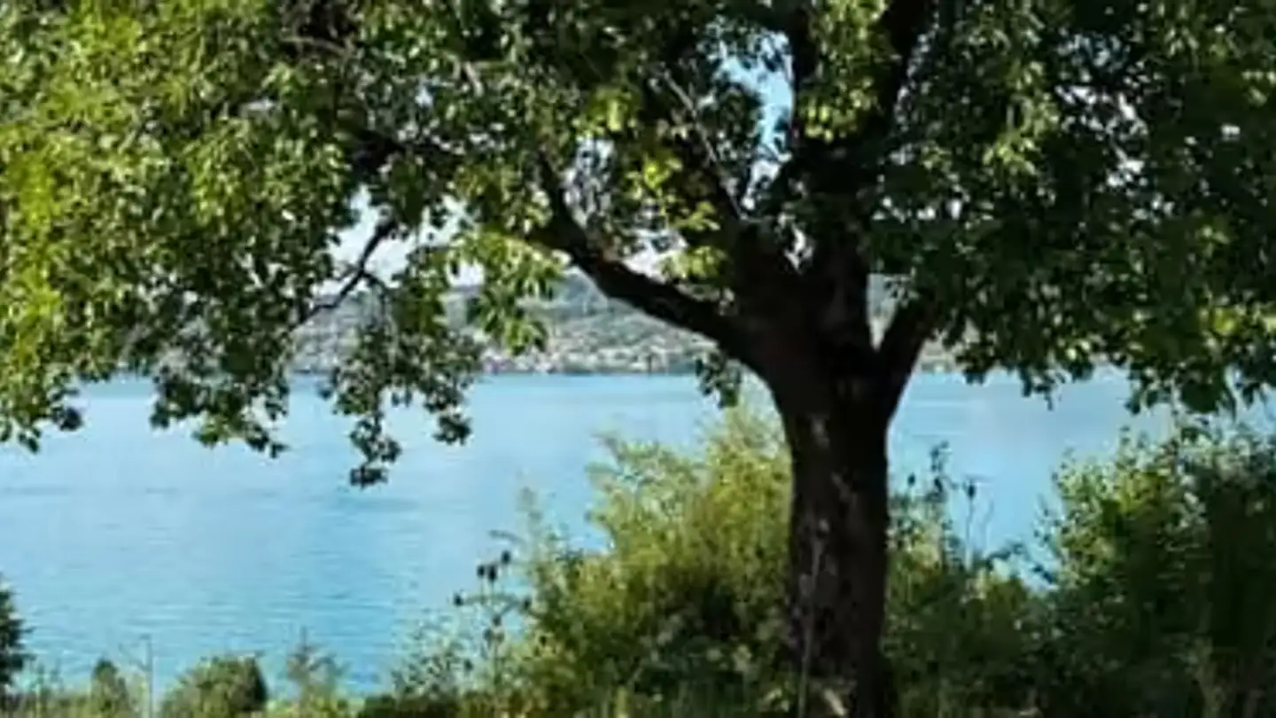 Maison jumelle à louer - Meilibachweg 18a, 8810 Horgen
