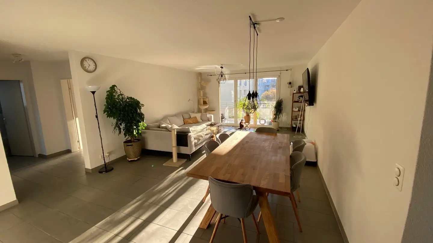 Appartamento in affitto - 8112 Otelfingen
