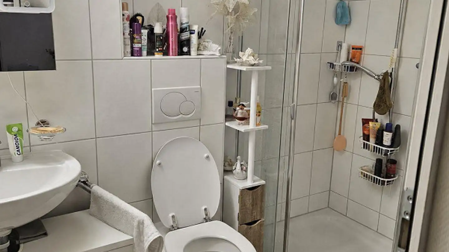 Appartamento in affitto - Amerikanerstrasse 5, 4102 Binningen - Foto 4