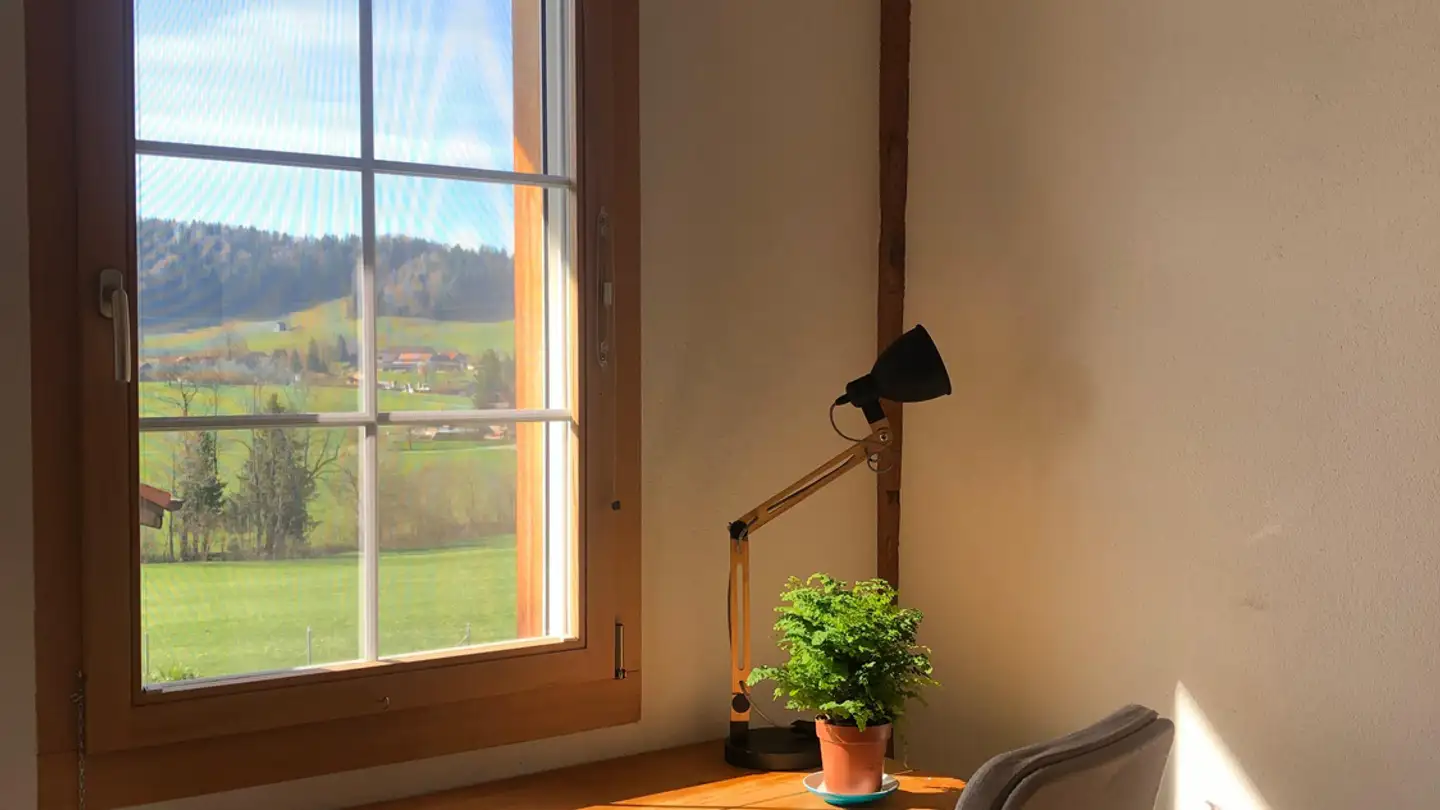 Single room for rent - Bettswilerstrasse 38, 8344 Bäretswil - Photo 2