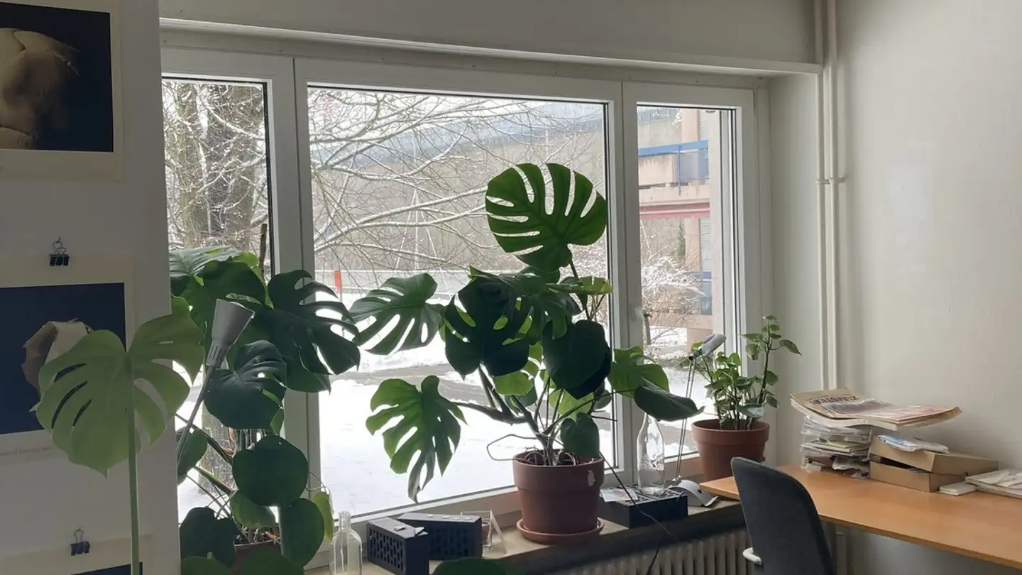 Single room for rent - 8041 Zürich - Photo 4