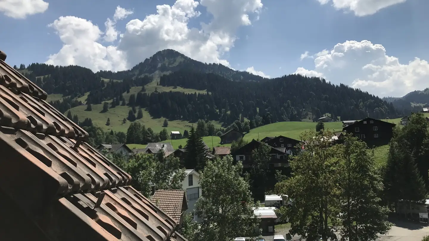 Apartment for sale - Brächenstrasse 12, 8843 Oberiberg