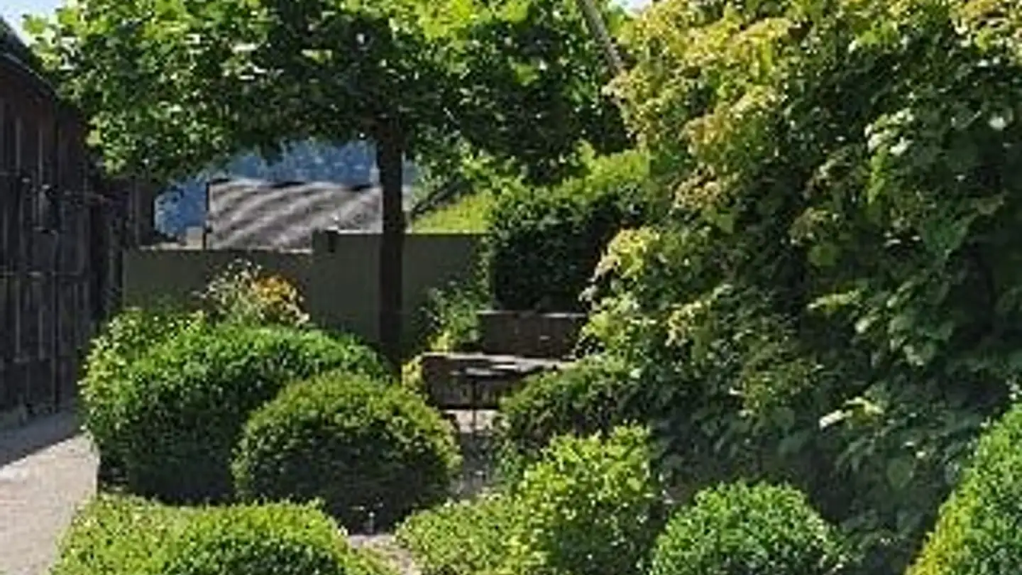 Einfamilienhaus kaufen - Olensbachstrasse 5, 9631 Ulisbach