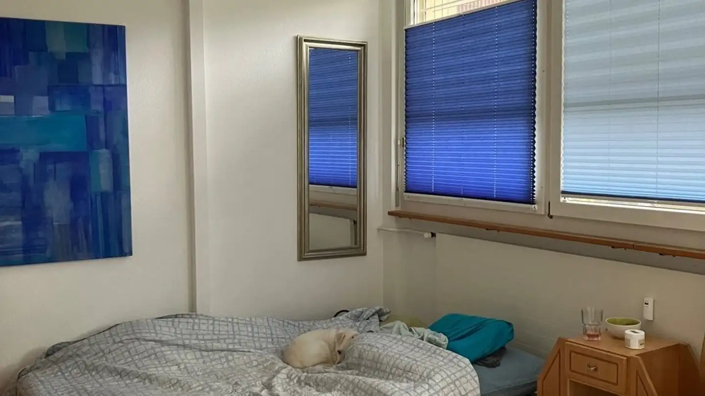 Wohnung mieten - 4950 Huttwil - Foto 4